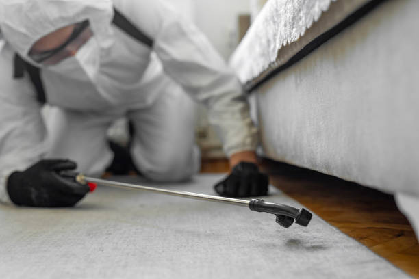 Professional Termite Control technician working in Juno Beach, FL